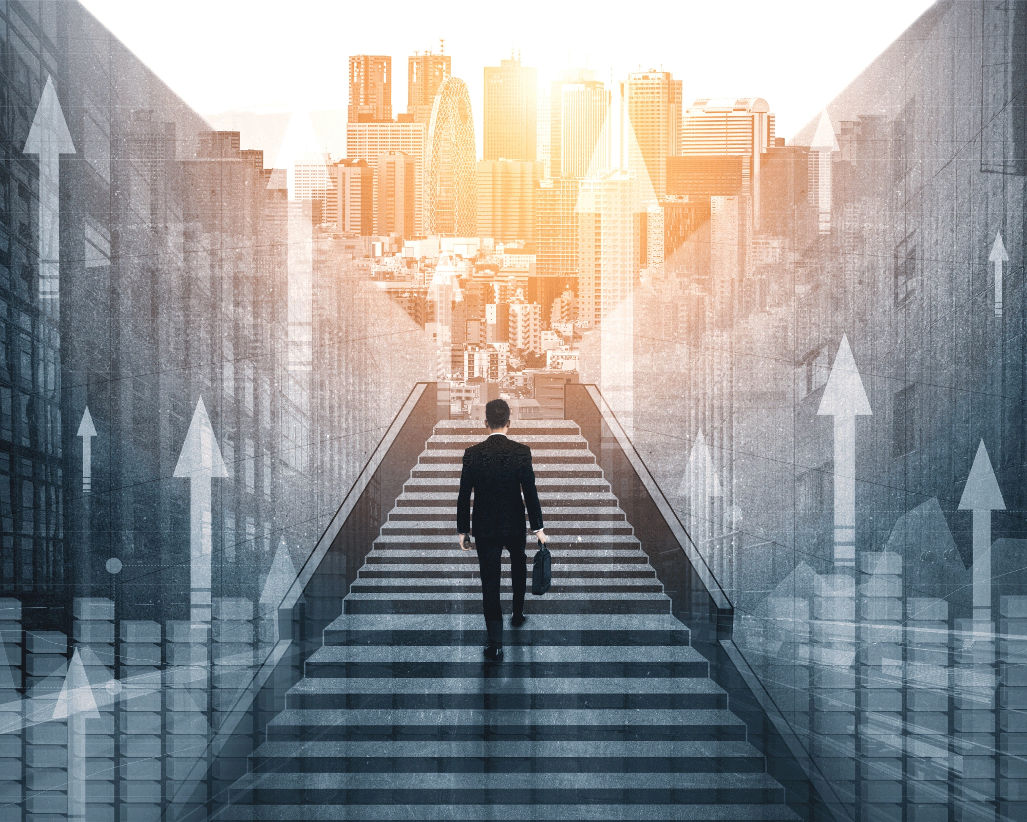 Dhanveera - Trusted Financial Solutions Provider