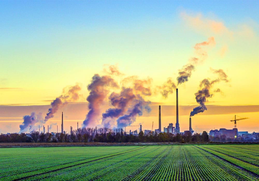 Apply for Business Loan at Dhanveera